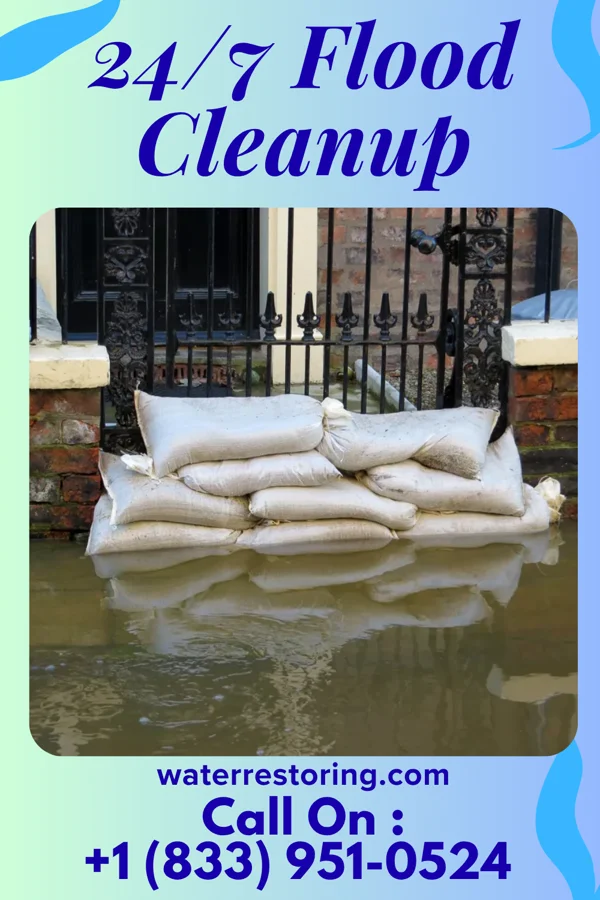 24/7 Flood Cleanup in Argyle, IL