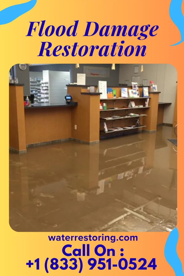 Flood Damage Restoration in Argyle, IL
