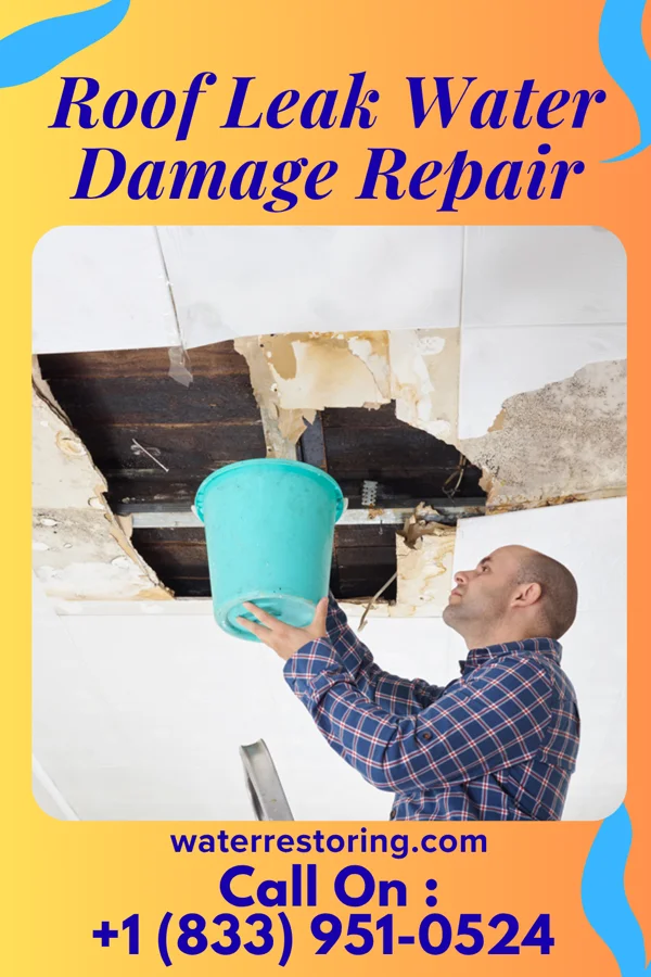 Roof Leak Water Damage Repair in Argyle, IL