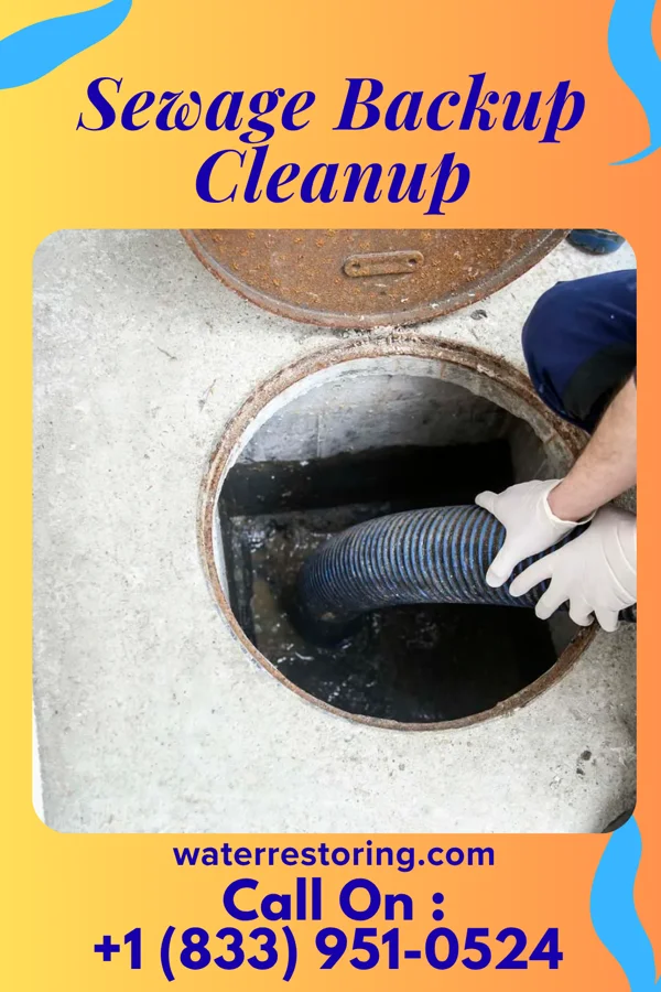 Sewage Backup Cleanup in Argyle, IL