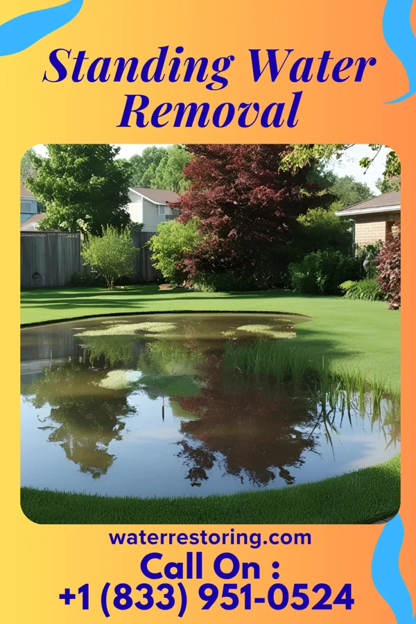 Standing Water Removal in Argyle, IL